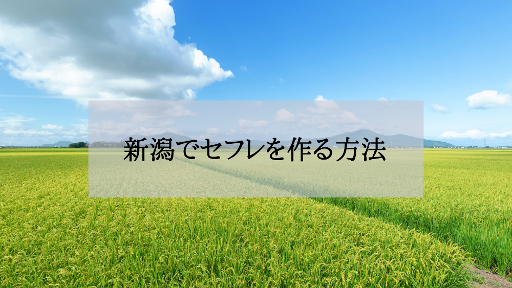 新潟セフレの作り方